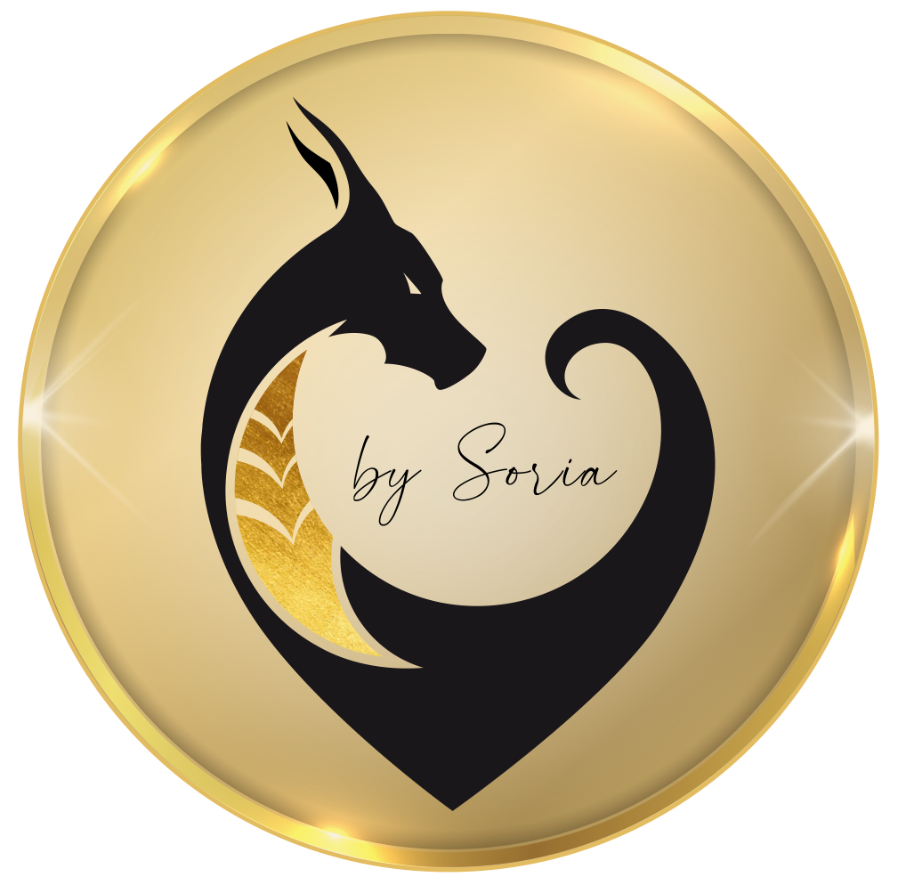 Coeur de Dragon by Soria